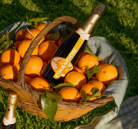 Nápoj na bázi přírodních extraktů z pomerančové kůry, bylinek a koření — Garden Spritz