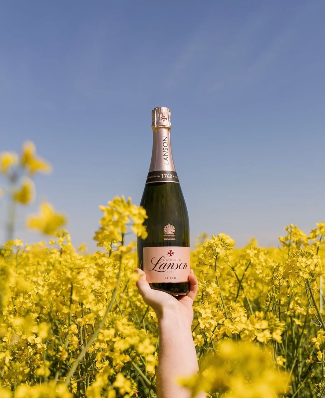 Šampaňské Maltézského řádu