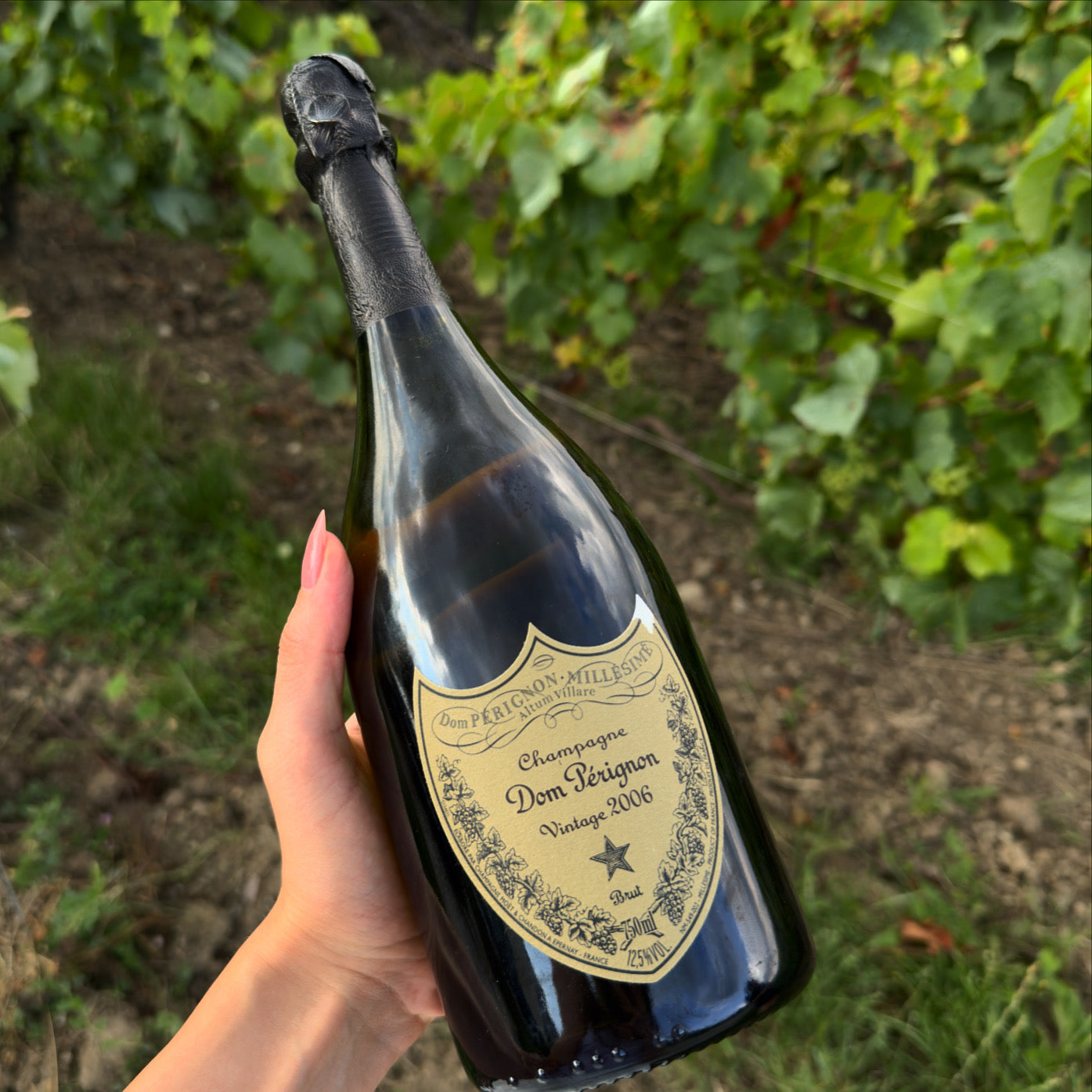 Dom Pérignon Millésime Brut Blanc Vintage 2006 75 cL