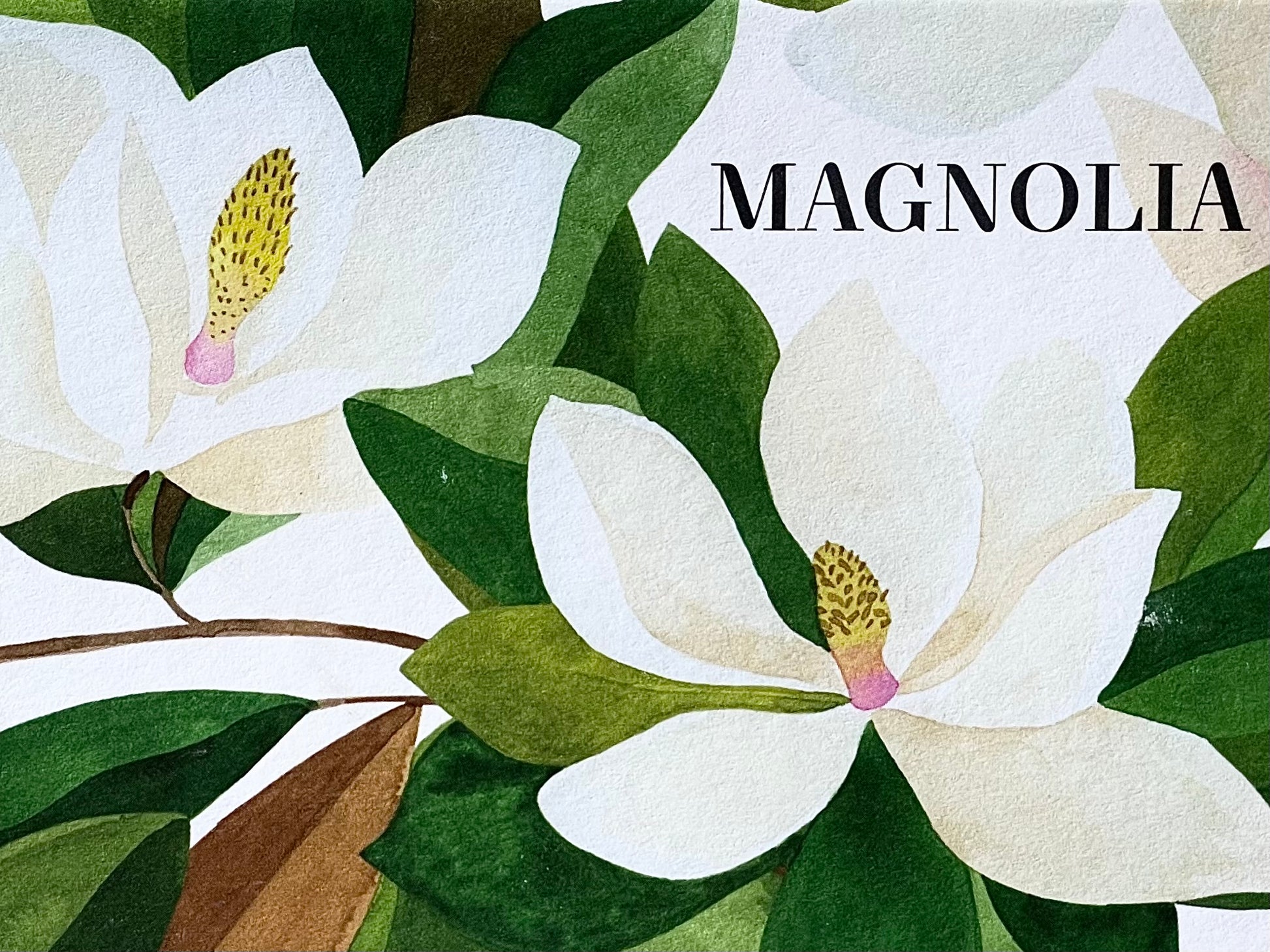 FRAGONARD – MAGNOLIA – QUATRE SAVONS PARFUMÉS 4 x 50 g